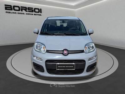 Fiat Panda  - panda 1.2 easy Grigio usata Treviso