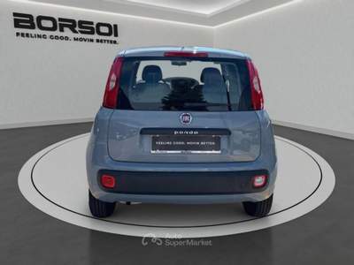 Fiat Panda  - panda 1.2 easy Grigio usata Treviso