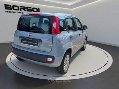 Fiat Panda  - panda 1.2 easy Grigio usata Treviso