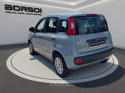 Fiat Panda  - panda 1.2 easy Grigio usata Treviso