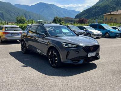 Cupra Formentor 2.0 TDI 4Drive DSG Grigio usata Ala