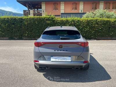 Cupra Formentor 2.0 TDI 4Drive DSG Grigio usata Ala