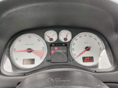 Peugeot 307 SOLO 95.511 KM. Argento usata CANELLI