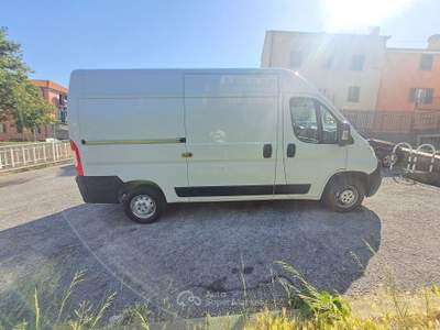 Opel Movano (FIAT DUCATO) PREZZO REALE, POCHI KM, IVA ESPOSTA Bianco usata Savona