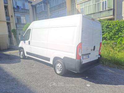 Opel Movano (FIAT DUCATO) PREZZO REALE, POCHI KM, IVA ESPOSTA Bianco usata Savona
