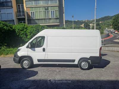 Opel Movano (FIAT DUCATO) PREZZO REALE, POCHI KM, IVA ESPOSTA Bianco usata Savona