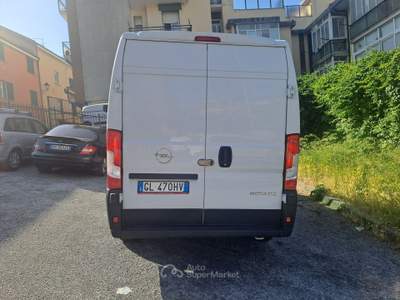 Opel Movano (FIAT DUCATO) PREZZO REALE, POCHI KM, IVA ESPOSTA Bianco usata Savona