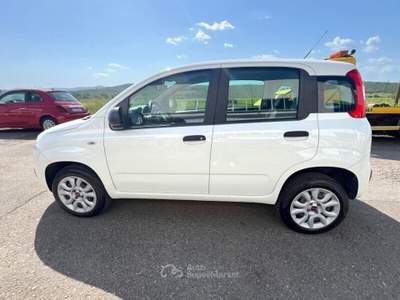 Fiat Panda Panda 0.9 TwinAir Turbo Natural Power Easy Bianco usata Laterina