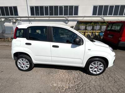 Fiat Panda Panda 0.9 TwinAir Turbo Natural Power Easy Bianco usata Laterina