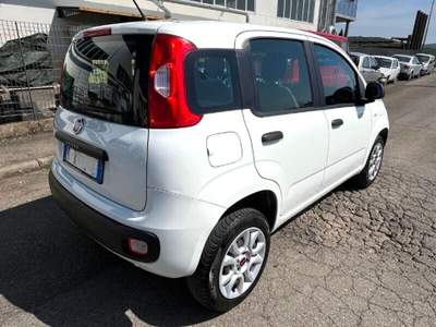 Fiat Panda Panda 0.9 TwinAir Turbo Natural Power Easy Bianco usata Laterina