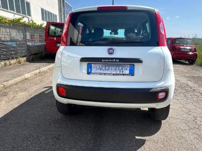 Fiat Panda Panda 0.9 TwinAir Turbo Natural Power Easy Bianco usata Laterina