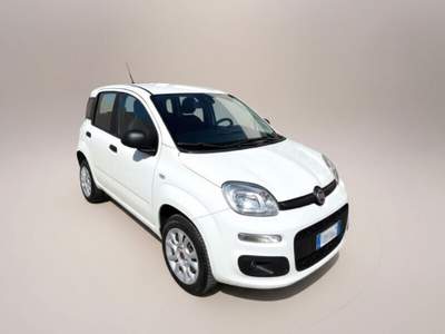 Fiat Panda Panda 0.9 TwinAir Turbo Natural Power Easy Bianco usata Laterina