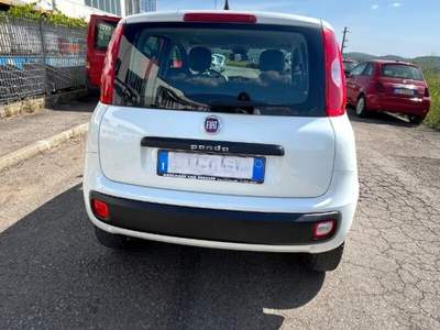 Fiat Panda Panda 0.9 TwinAir Turbo Natural Power Easy Bianco usata Laterina