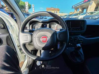 Fiat Panda 1.0 FireFly S&S Hybrid Launch Ed. Bianco usata Albano Laziale