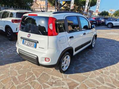 Fiat Panda 1.0 FireFly S&S Hybrid Launch Ed. Bianco usata Albano Laziale