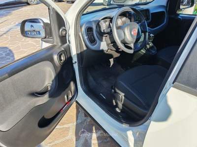 Fiat Panda 1.0 FireFly S&S Hybrid Launch Ed. Bianco usata Albano Laziale