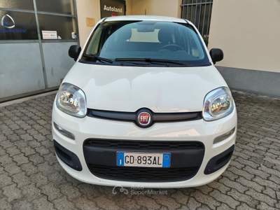 Fiat Panda 69 CV EASY Bianco usata PORTE