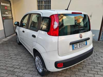 Fiat Panda 69 CV EASY Bianco usata PORTE