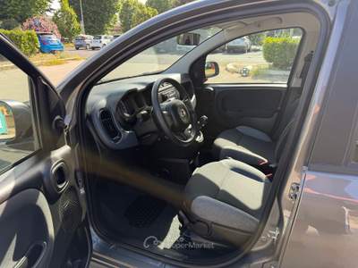 Fiat Panda Hybrid Grigio usata Fiumicino