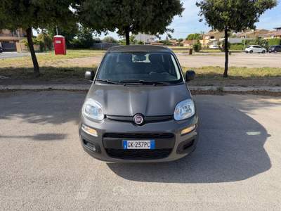 Fiat Panda Hybrid Grigio usata Fiumicino