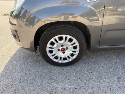 Fiat Panda Hybrid Grigio usata Fiumicino