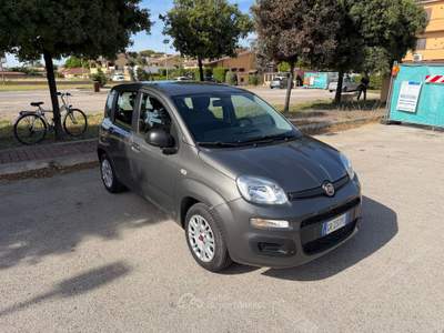 Fiat Panda Hybrid Grigio usata Fiumicino