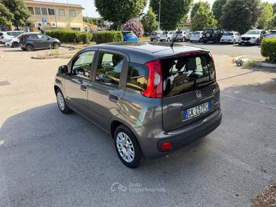 Fiat Panda Hybrid Grigio usata Fiumicino