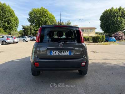 Fiat Panda Hybrid Grigio usata Fiumicino
