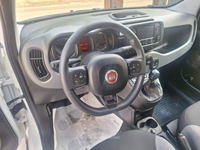 Fiat Panda Fiat panda 1.0 fireflay S e S HYbrid city life Bianco usata Mirabella Eclano