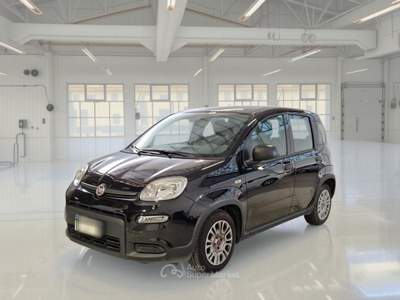 Fiat Panda FIAT PANDA 1.0 FIREFLY 70 CV SES HYBRID 5 PORTE BERLINA usata Bentivoglio