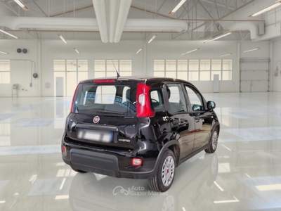 Fiat Panda FIAT PANDA 1.0 FIREFLY 70 CV SES HYBRID 5 PORTE BERLINA usata Bentivoglio
