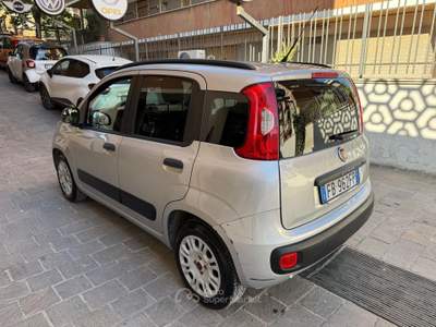 Fiat Panda easy Van 4 posti Autocarro GPL Grigio usata Roma