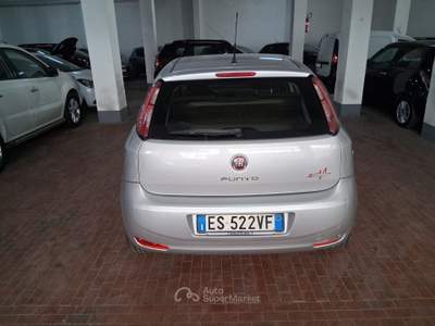 Fiat Punto 69cv 5p Street Ok Neopatentati Grigio usata Roma