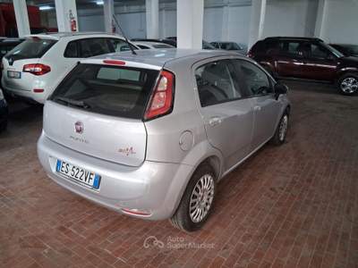 Fiat Punto 69cv 5p Street Ok Neopatentati Grigio usata Roma