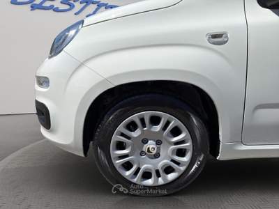 Fiat Panda Pandina 1.0 firefly hybrid Pop s&s 65cv Bianco usata Cirò Marina