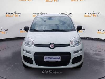 Fiat Panda Panda 1.2 Easy s&s 69cv my19 PREZZO REALE Bianco usata Feltre
