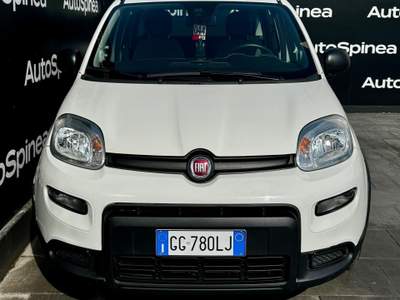 Fiat Panda 1.0 FireFly 70cv S&S Hybrid City Life  #packcity Bianco usata Spinea