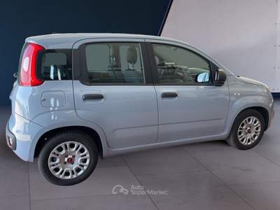 Fiat Panda III 2016 1.0 hybrid Easy s&s 70cv Grigio usata Torino