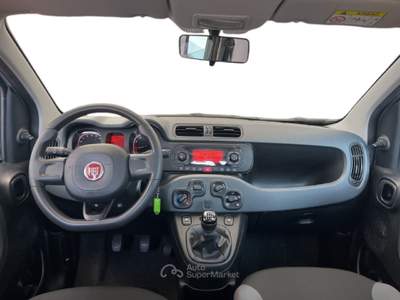 Fiat Panda III 2016 1.0 hybrid Easy s&s 70cv Grigio usata Torino