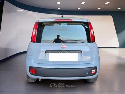 Fiat Panda III 2016 1.0 hybrid Easy s&s 70cv Grigio usata Torino
