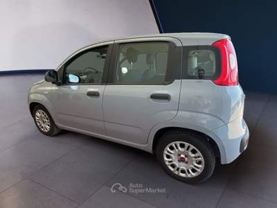 Fiat Panda III 2016 1.0 hybrid Easy s&s 70cv Grigio usata Torino