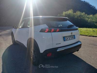 Peugeot 2008 2008 BlueHDi 110 S&S Active Pack Bianco usata Bagni di Lucca