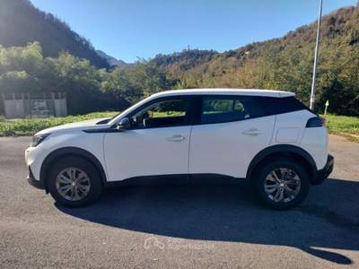Peugeot 2008 2008 BlueHDi 110 S&S Active Pack Bianco usata Bagni di Lucca