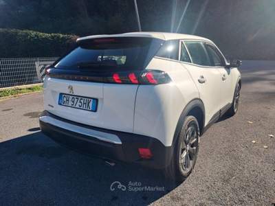 Peugeot 2008 2008 BlueHDi 110 S&S Active Pack Bianco usata Bagni di Lucca