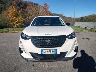 Peugeot 2008 2008 BlueHDi 110 S&S Active Pack Bianco usata Bagni di Lucca