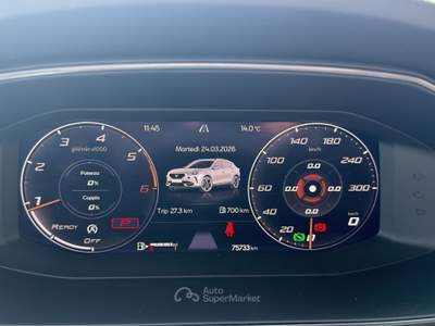 Cupra Formentor Formentor 2.0 TDI 4Drive DSG Grigio usata Milano
