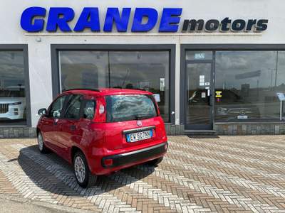 Fiat Panda Panda 1.2 Easy 69cv Rosso usata Carmagnola