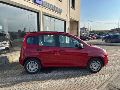 Fiat Panda Panda 1.2 Easy 69cv Rosso usata Carmagnola