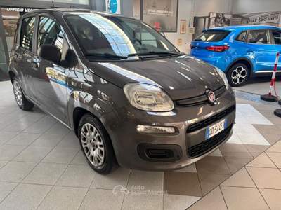 Fiat Panda 1.0 70cv S&S Hybrid E6d-T Easy Grigio usata Giaveno