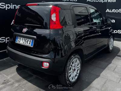 Fiat Panda 1.2 69cv S&S E6d-Temp Easy #5°posto #vetriprivacy Nero usata Spinea